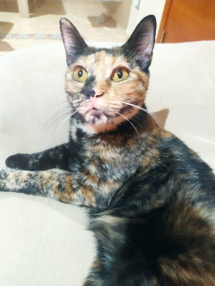 Telma